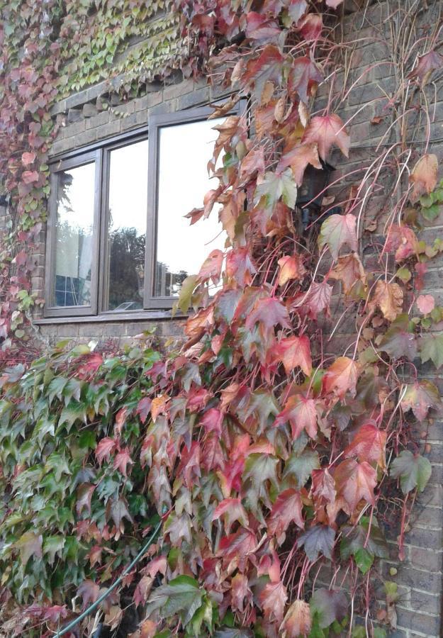 Woodpeckers Cottage B&B Pett 외부 사진