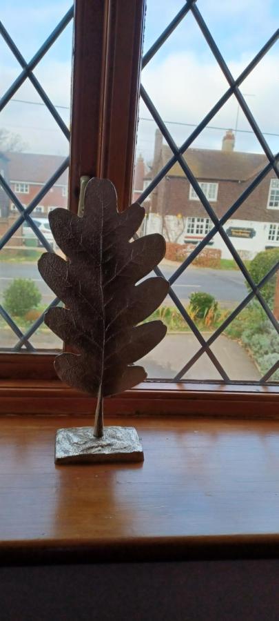Woodpeckers Cottage B&B Pett 외부 사진